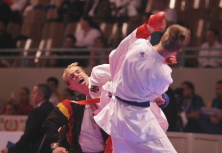 _CHG4403 Kopie